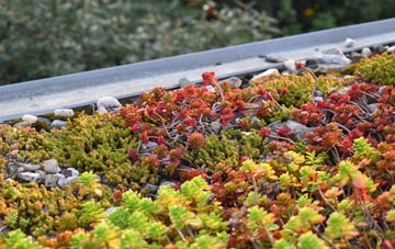 the cost of Roud green roof installation