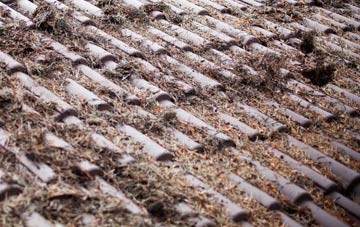 Roud roof cleaning companies