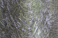 Roud fibreglass roof work