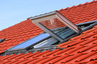 Roud roof window